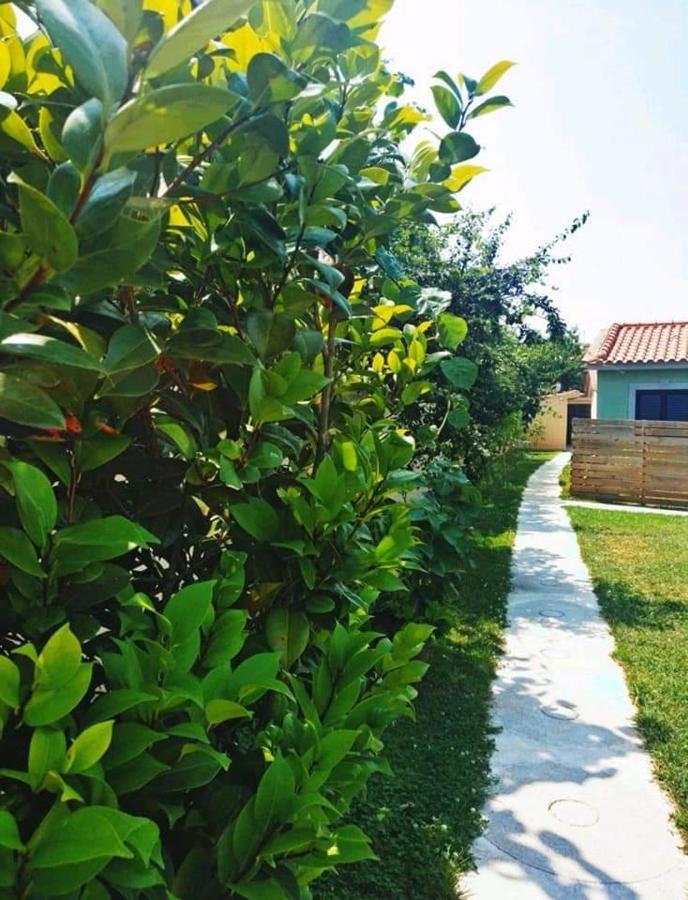 Casas do Paço - Casas de Férias Cabeceiras de Basto Extérieur photo